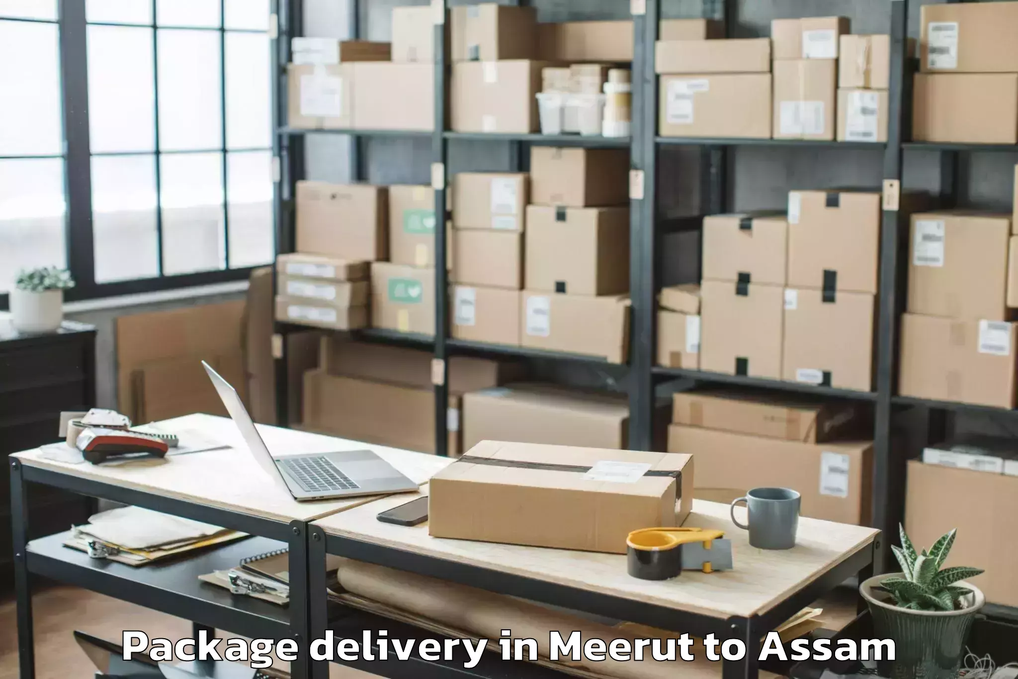 Book Your Meerut to Rupai Siding Package Delivery Today